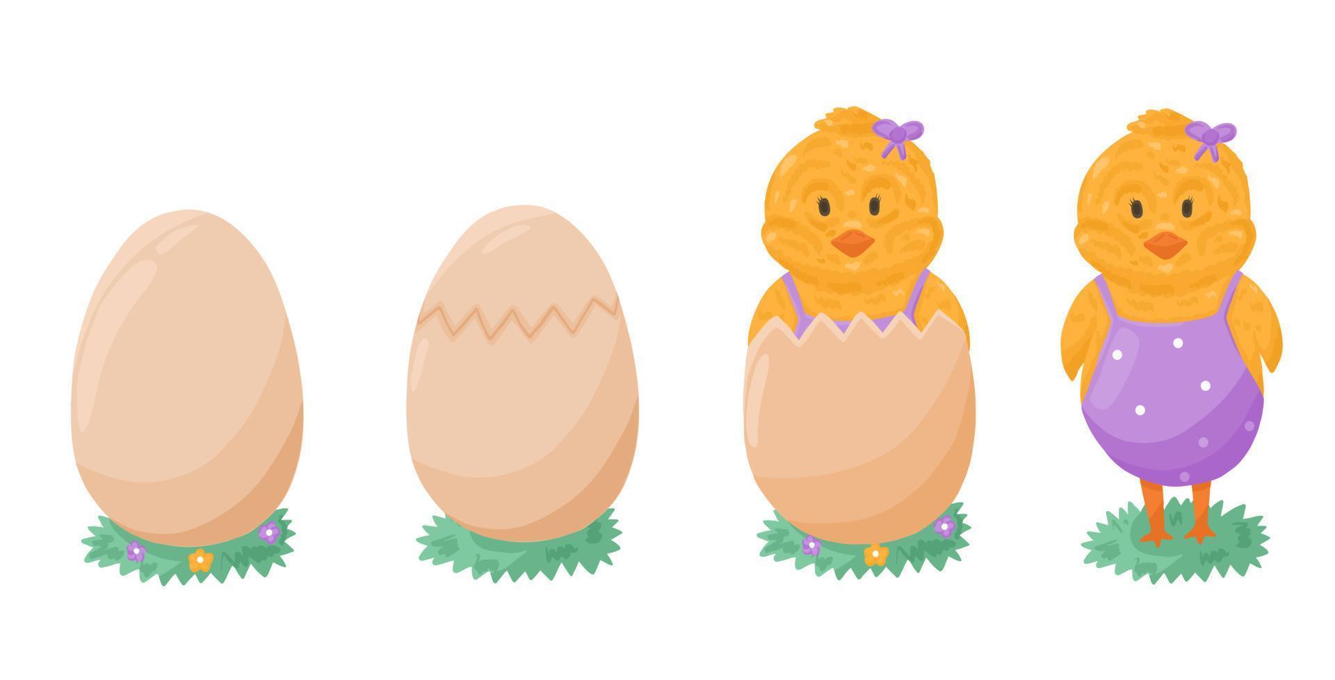 Chicken life cycle with egg hatch vector
