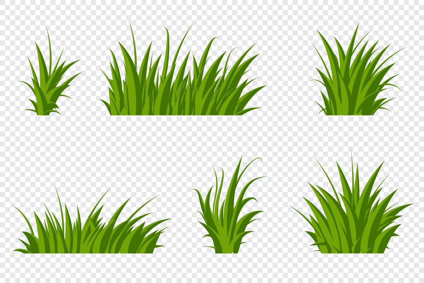 conjunto de hierba verde. arbustos de hierba de diferentes formas. hierba dibujada a mano. césped verde. ilustración vectorial vector