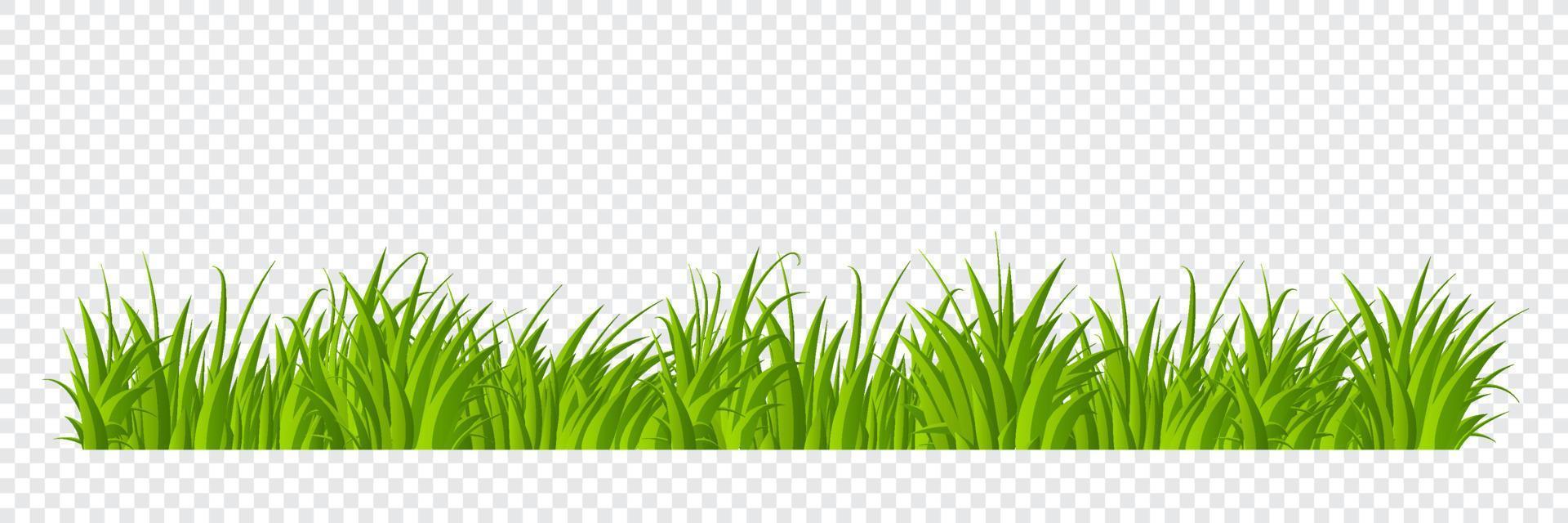 Green grass border flat style design. Cartoon summer green grass nature landscape field. Vector illustration