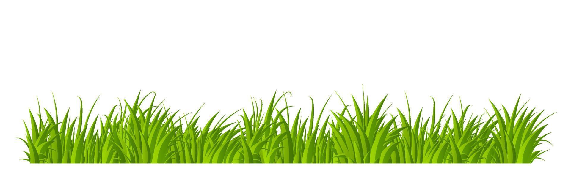 Green grass border flat style design. Cartoon summer green grass nature landscape field. Vector illustration