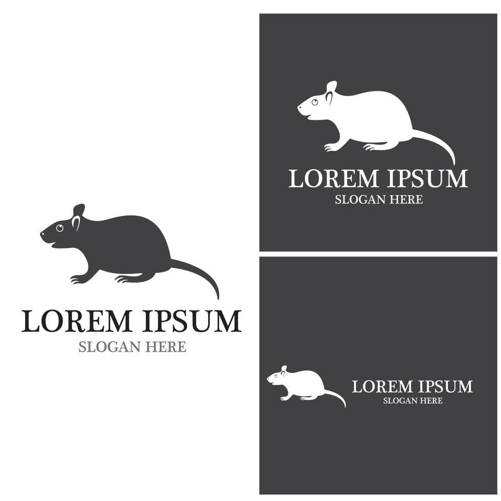 Rat icon and symbol vector illustration