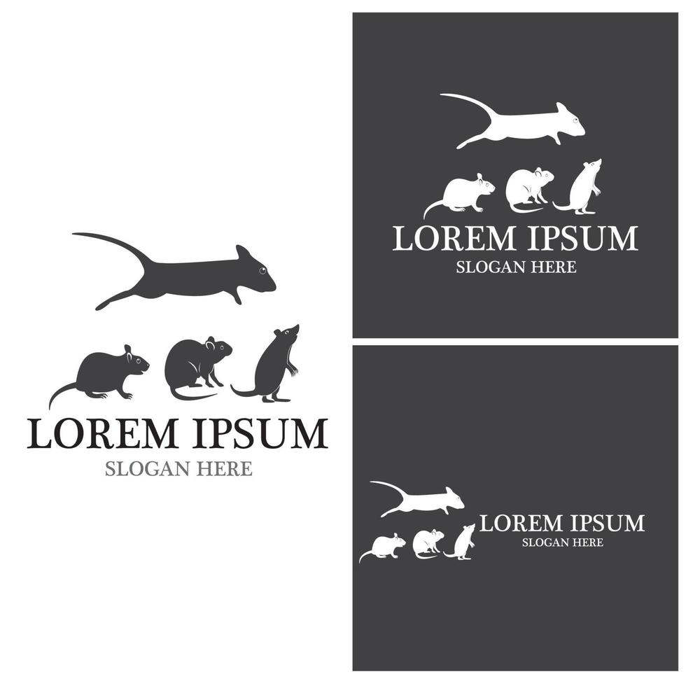 Rat icon and symbol vector illustration