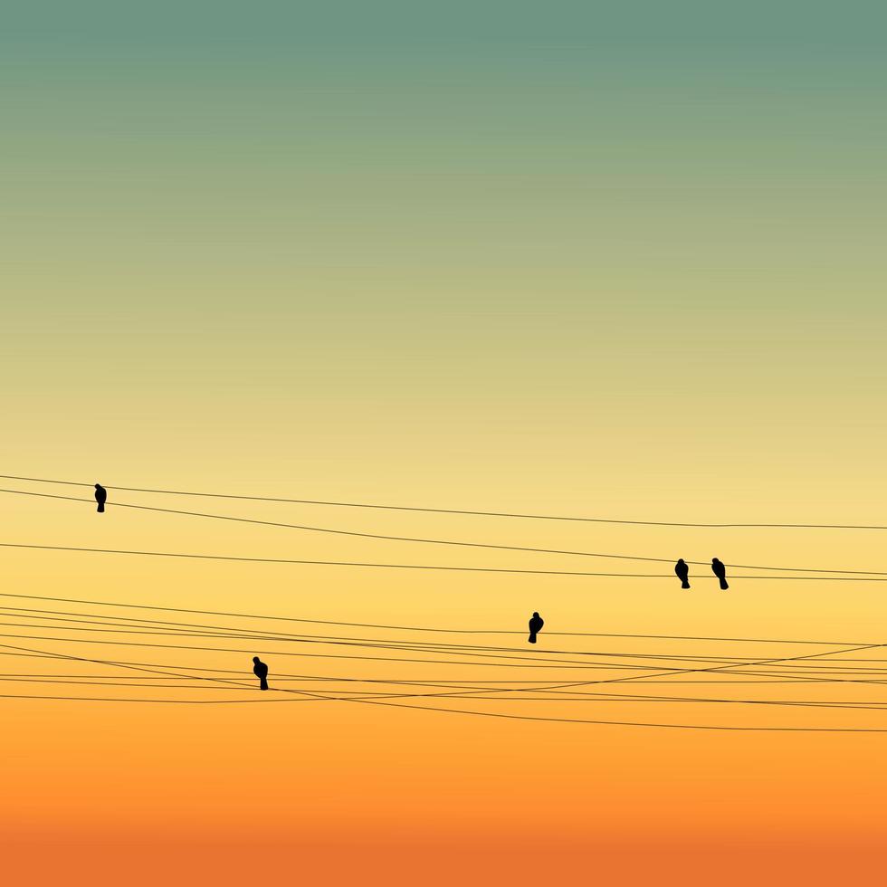 vivid birds on wires sunset vector