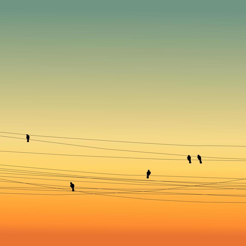 pájaros vívidos en los cables puesta de sol vector