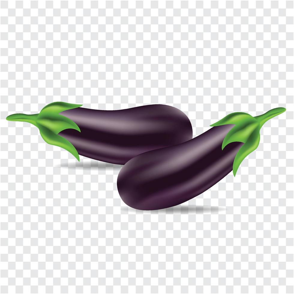 Eggplant isolated vector illustration on transparent background