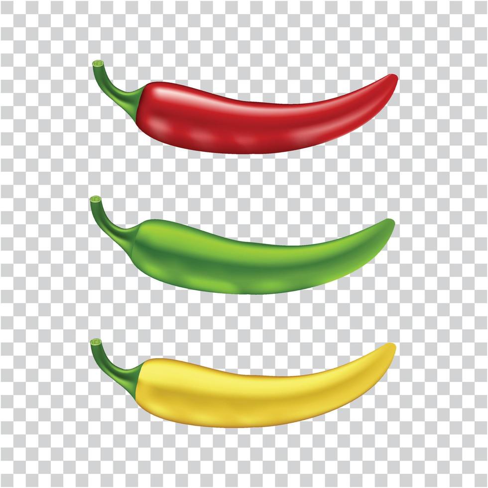 Set of realistic chili vector illustration