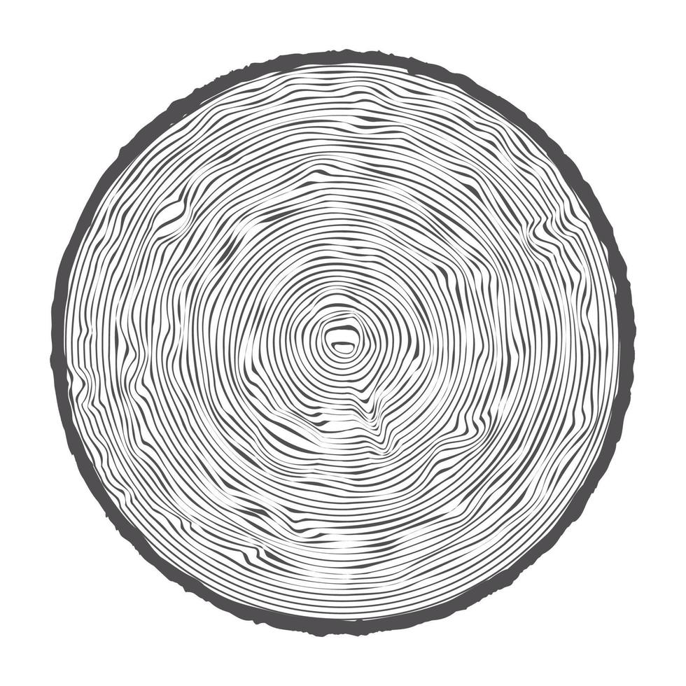 Tree ring wooden log. Circle annual stump texture and topography circle. Outline timber slice. Vector