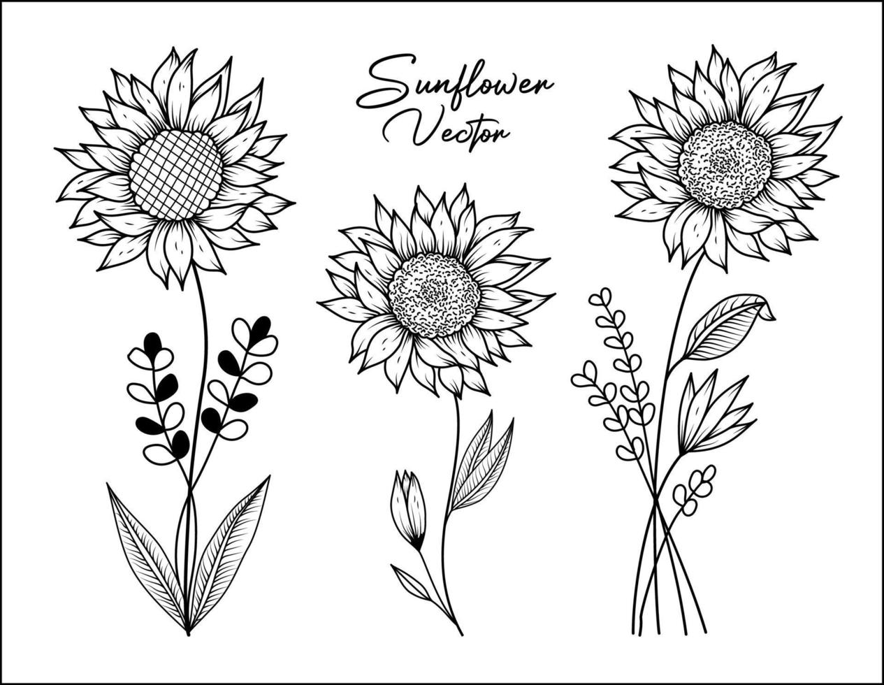 Hand drawn vector design floral elements Pro Vector