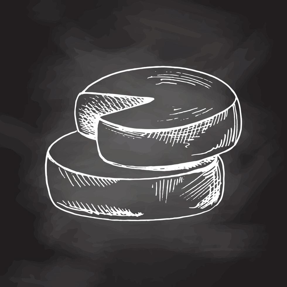 Gouda cheese wheels. Ink sketch isolated on white background. Chalkboard vector black and white vintage illustration.  Vintage style stroke drawing.