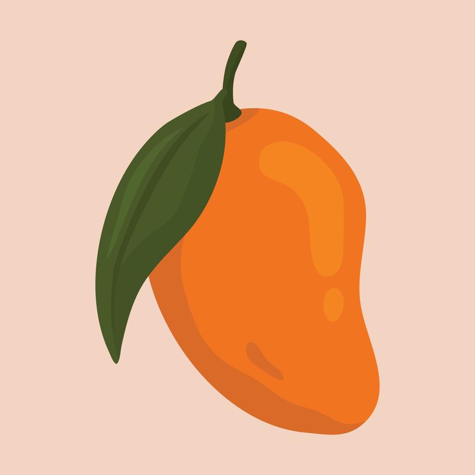 ilustración de fruta fresca de mango vector