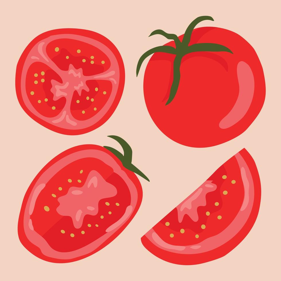 illustration of tomatoes and tomato slices vector