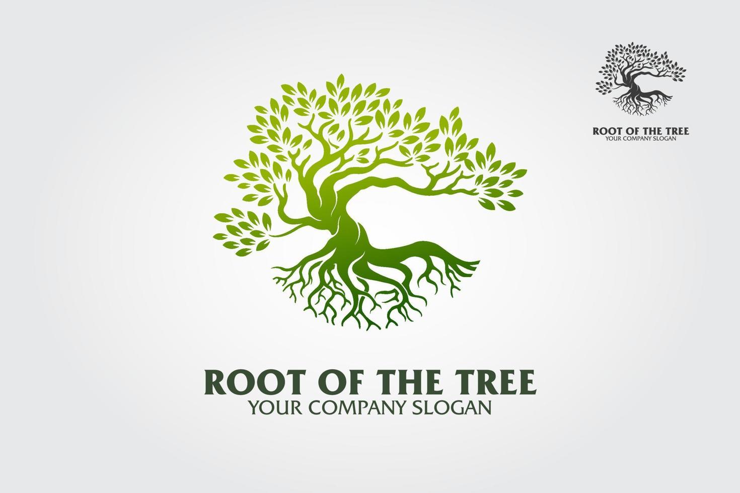 Root of the Tree logo illustrating a tree roots, branches. Excellent logo template for fashion, landscape, gardening business or in numerous fields related to eco green. vector