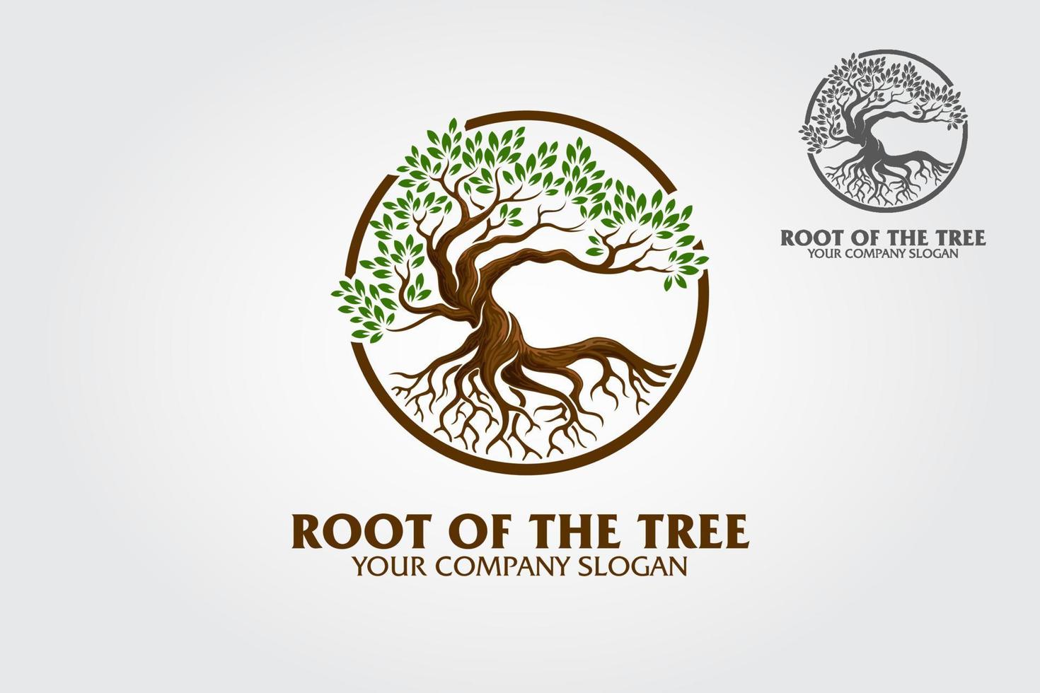 logotipo de la raíz del árbol que ilustra las raíces de un árbol, las ramas están conectadas en un diseño circular. excelente plantilla de logotipo para negocios de moda, paisajismo, jardinería o en numerosos campos relacionados con la naturaleza vector