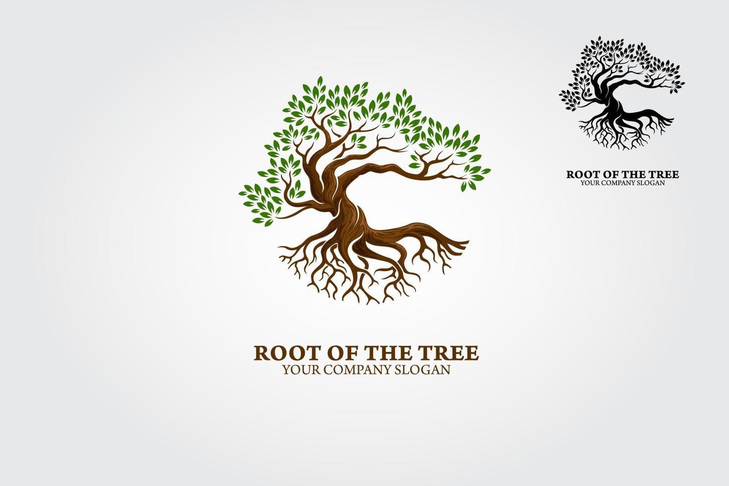 Root of the Tree logo illustrating a tree roots, branches. Excellent logo template for landscape, gardening, business or in numerous fields related to nature. vector