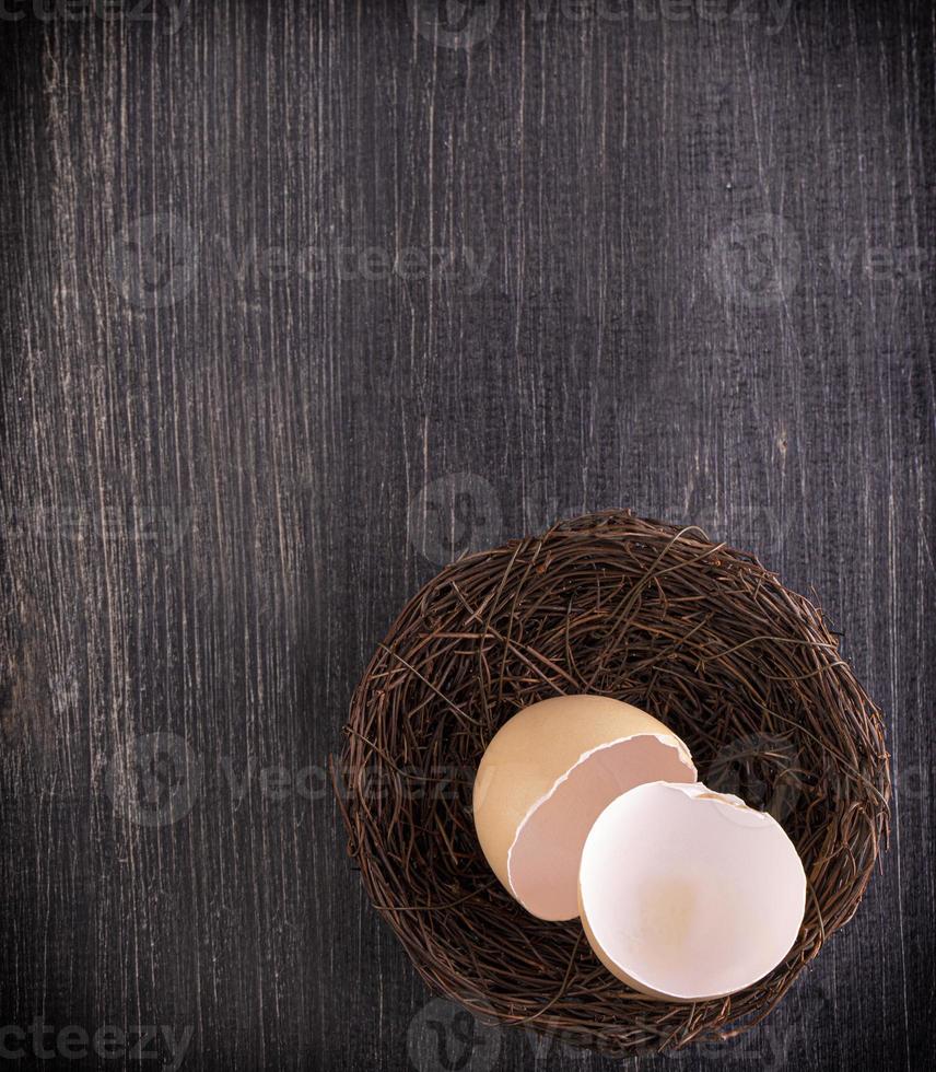 broun broken egg shells in the nest on wooden surface photo