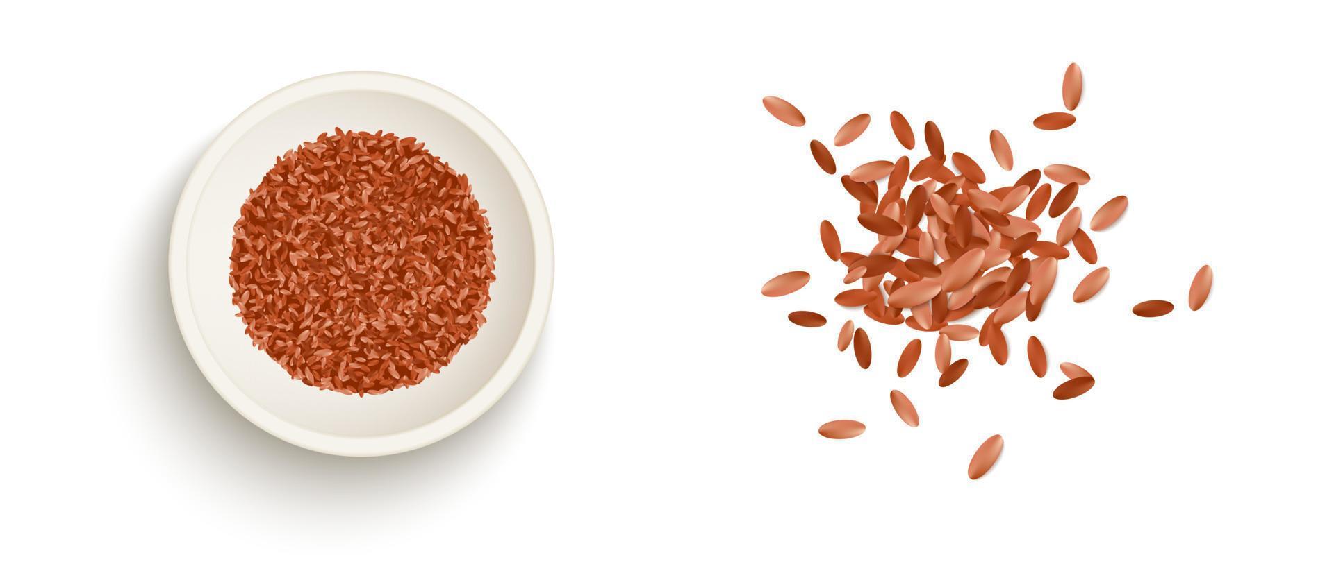 Spice on bowl and higt quality version vector illustration on white background.