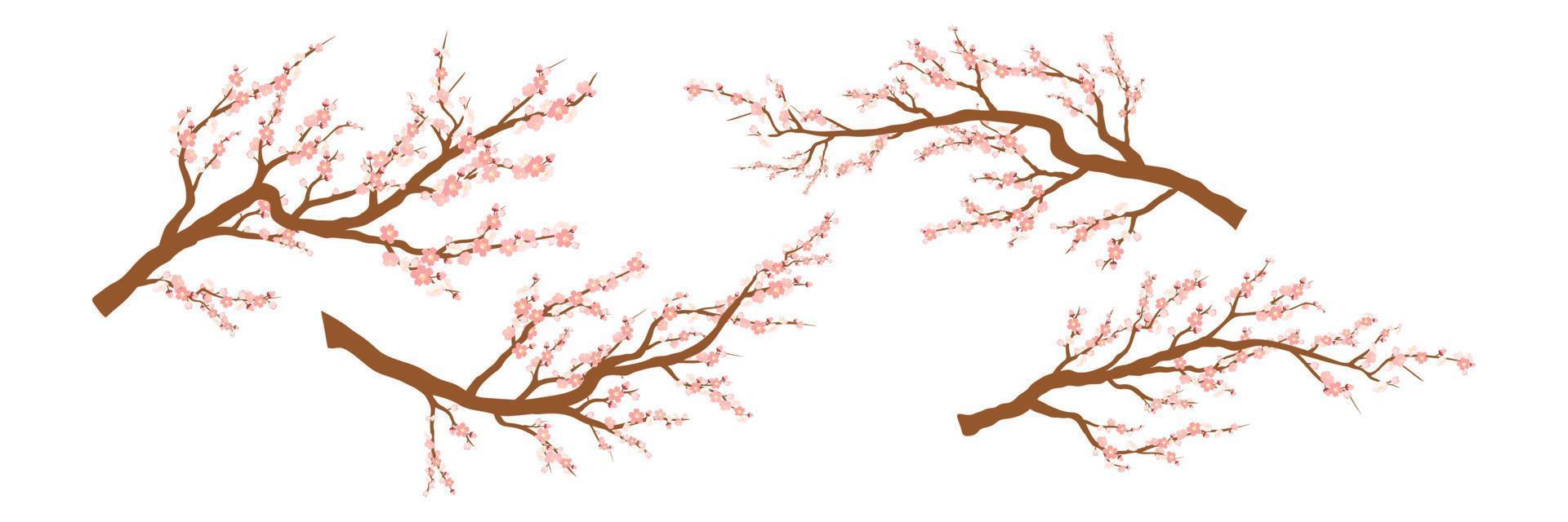 Set of spring blooming tree branches, tree branch with pink flowers. Sakura or cherry vector