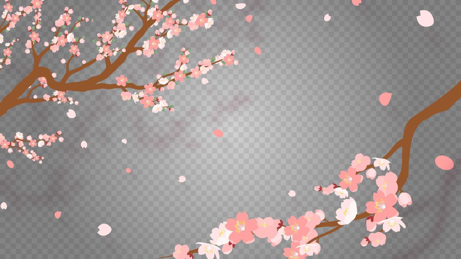 Sakura branch with falling petals Vector illustration. Pink Cherry blossom on transparent background