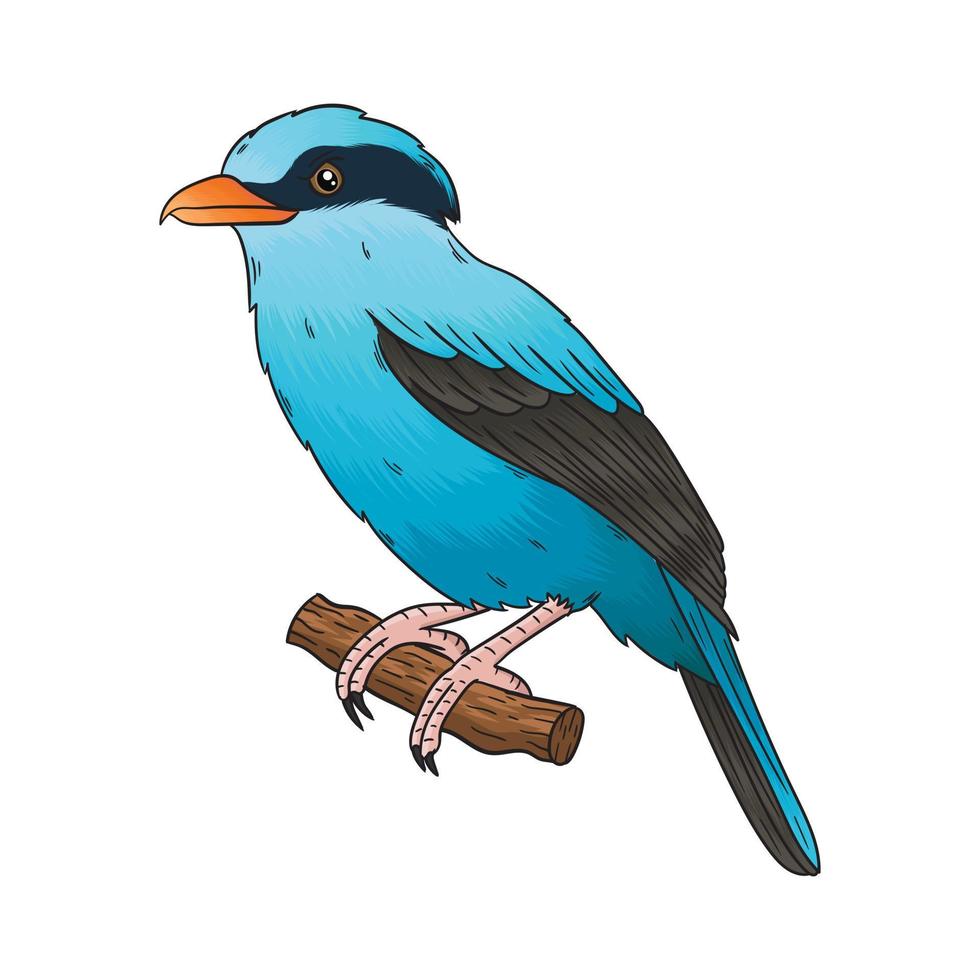 pájaro azul vectorial, este pájaro tiene una combinación de plumas azules y negras vector