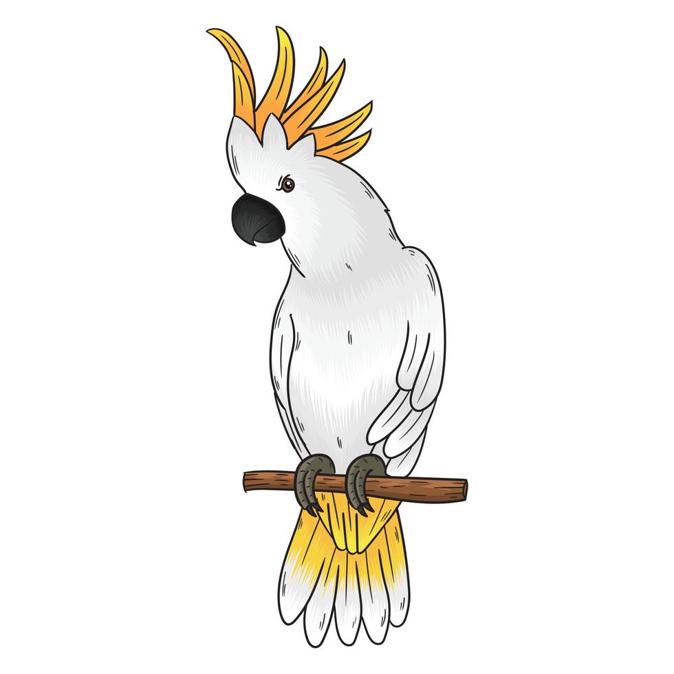 vector yellow-crested cockatoo, this bird has a yellow crest