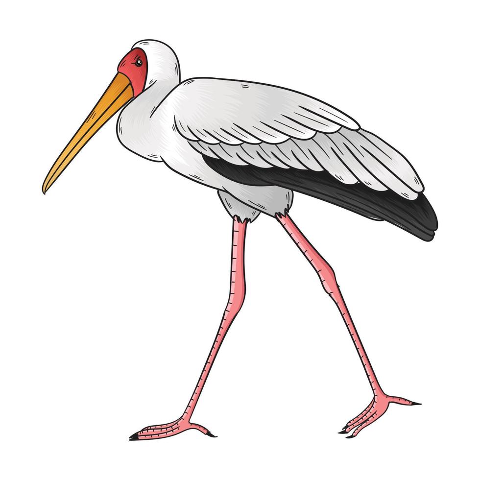 crane vector, this bird is identical with long legs and beak vector