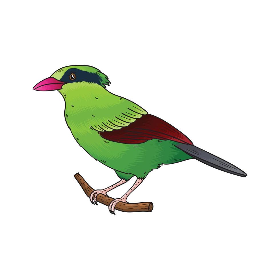 vector de pájaro verde, este pájaro tiene plumas verdes