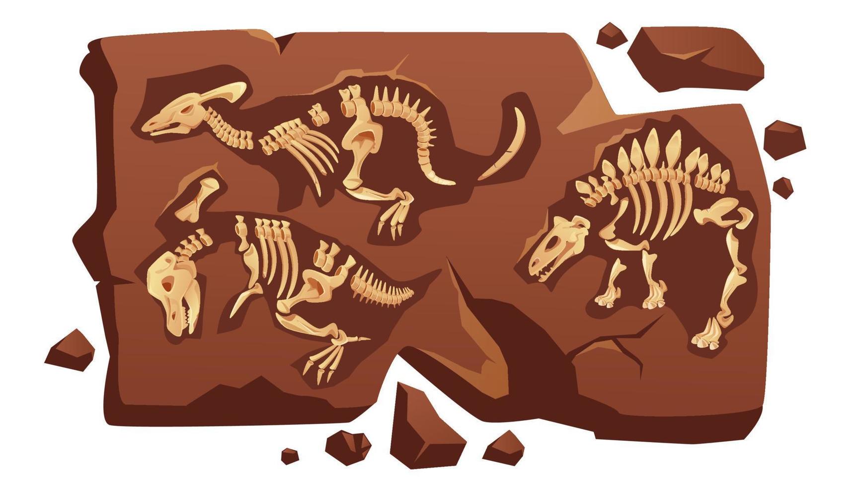 Dinosaur fossil bones, dino skeletons in stone vector