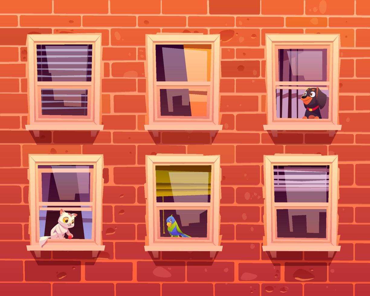 mascotas en ventanas, gatos, perros y loros en el alféizar de la ventana vector