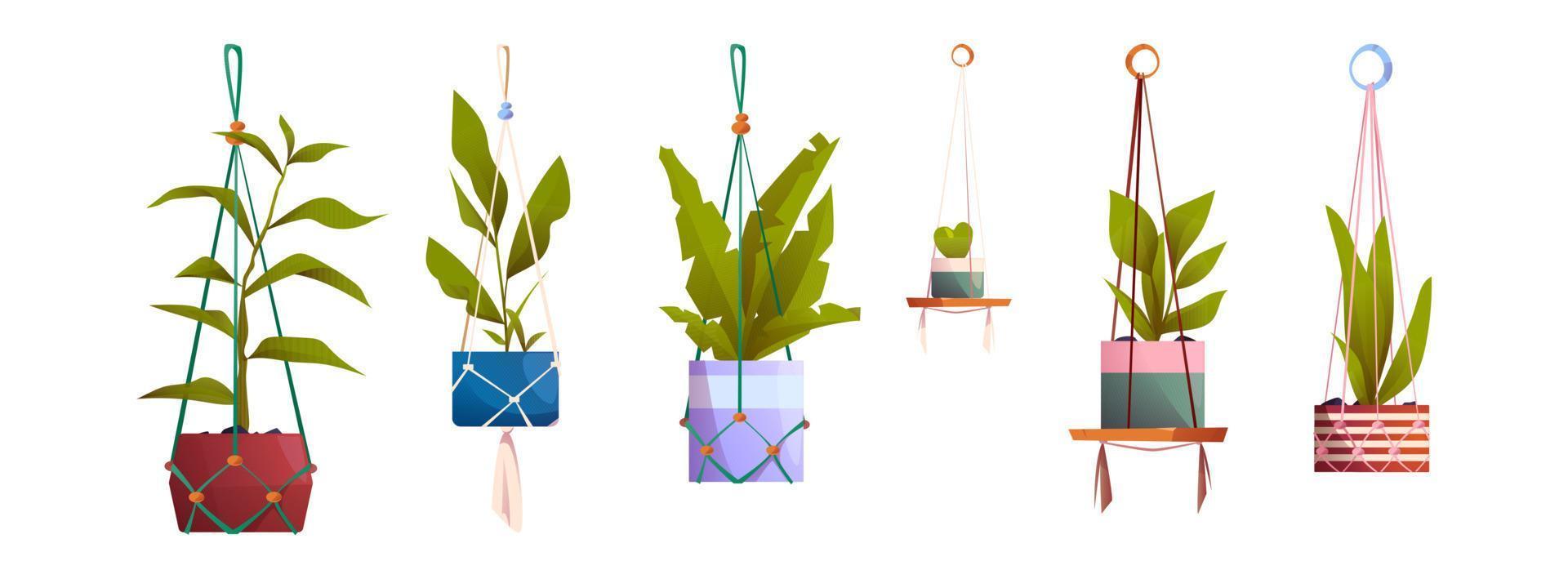 Macrame hangers with house plants in pots vector