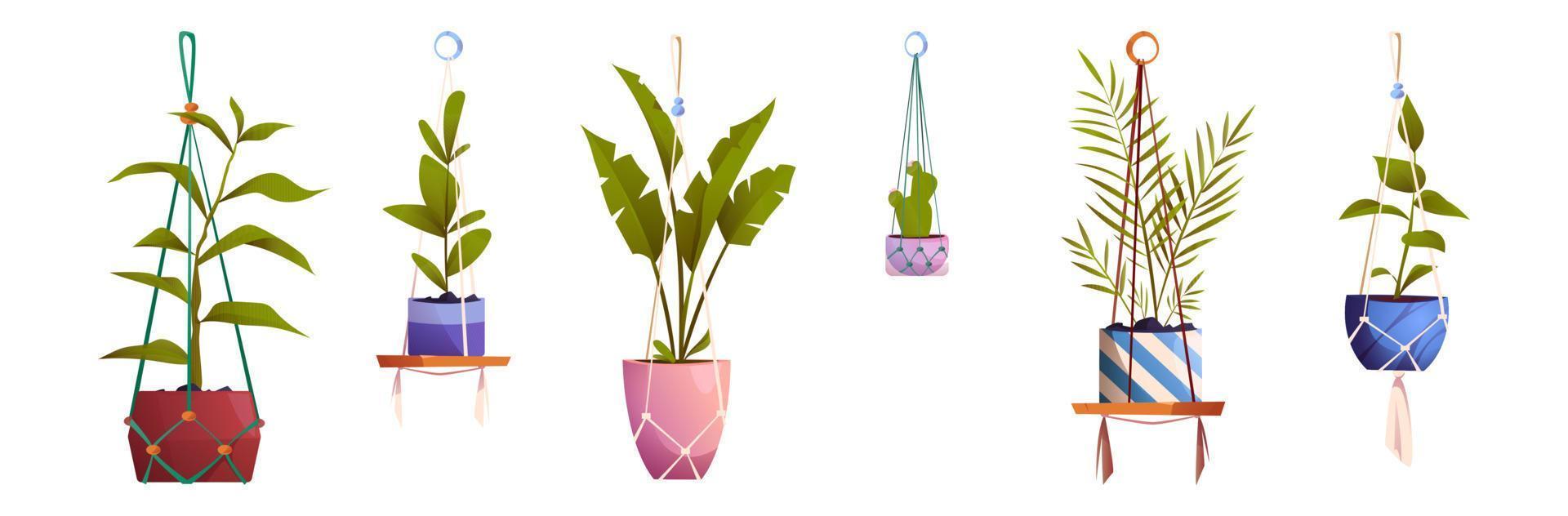 House plants in macrame hanging pots, flowers set vector