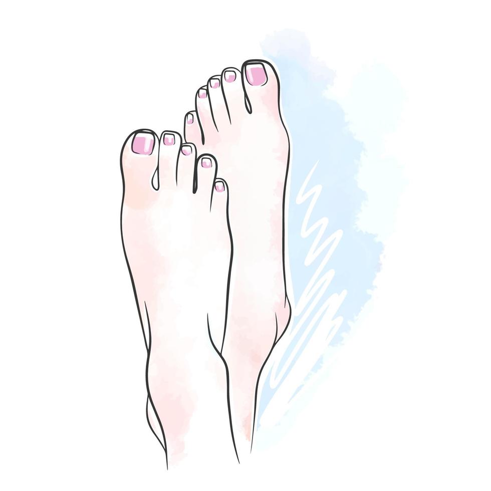 French toenails, pedicure on a watercolor background, beauty doodle vector