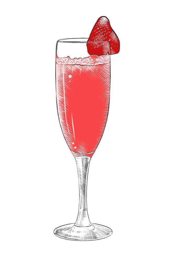 Vector engraved style illustration for posters, decoration, menu, logo and print. Hand drawn sketch of champagne with strawberry, colorful isolated on white background. Detailed vintage woodcut style