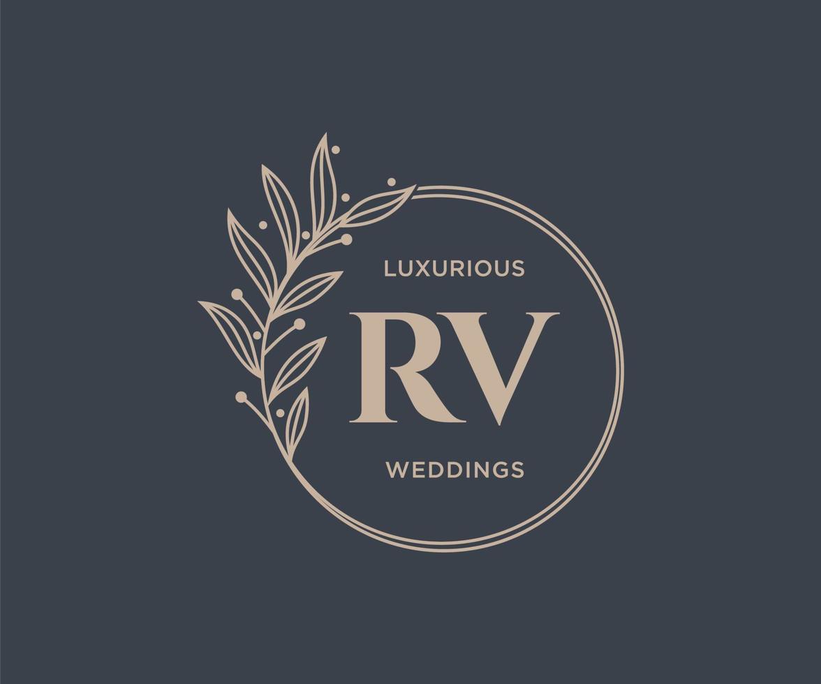 plantilla de logotipos de monograma de boda con letras iniciales rv, plantillas florales y minimalistas modernas dibujadas a mano para tarjetas de invitación, guardar la fecha, identidad elegante. vector