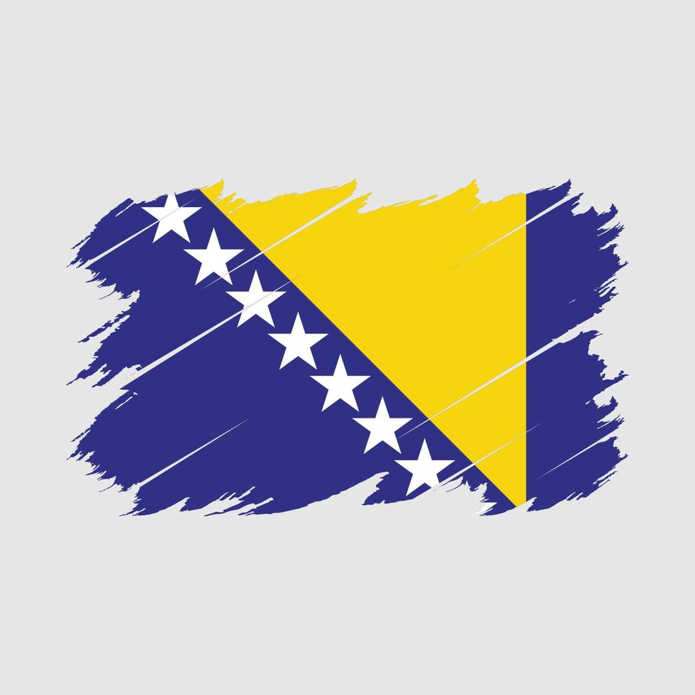 Bosnia Flag Brush Vector