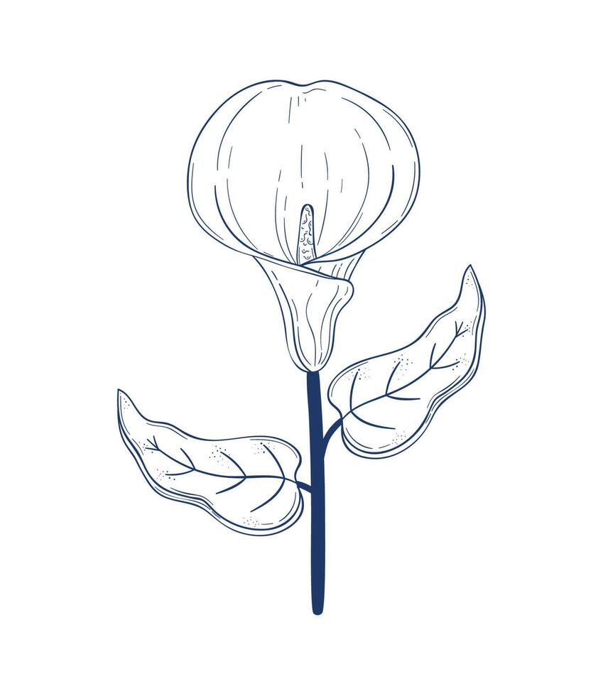 exotic flower garden sketch vector