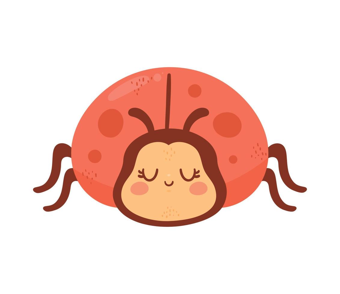 little red bug vector