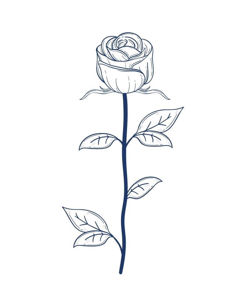 Premium Vector  Sketch of single delicate garden rose