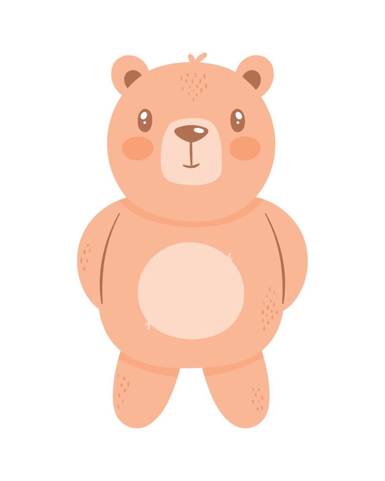brown bear teddy vector