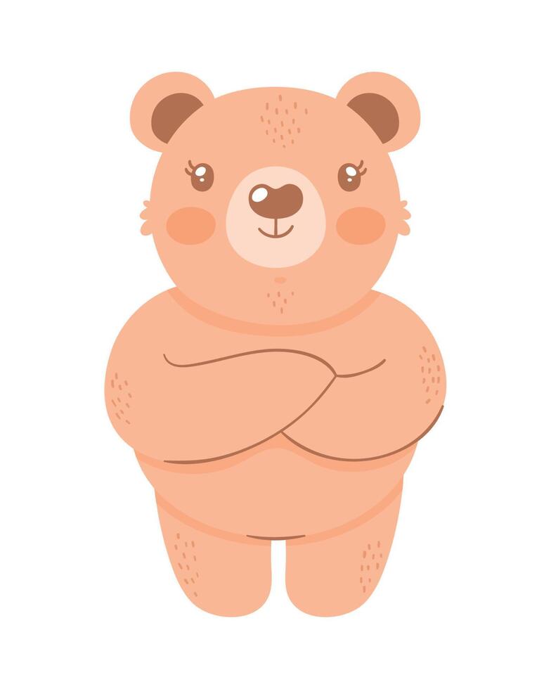 little brown bear teddy vector