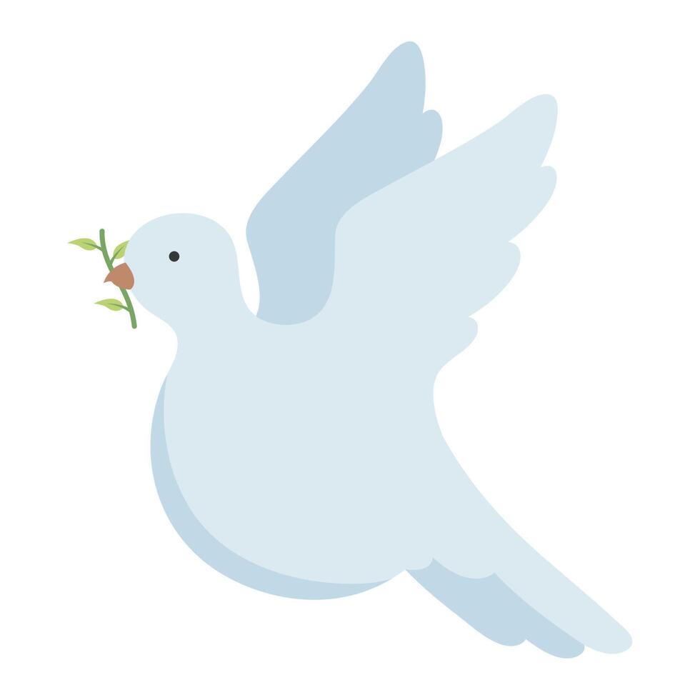 dove with olive branch vector