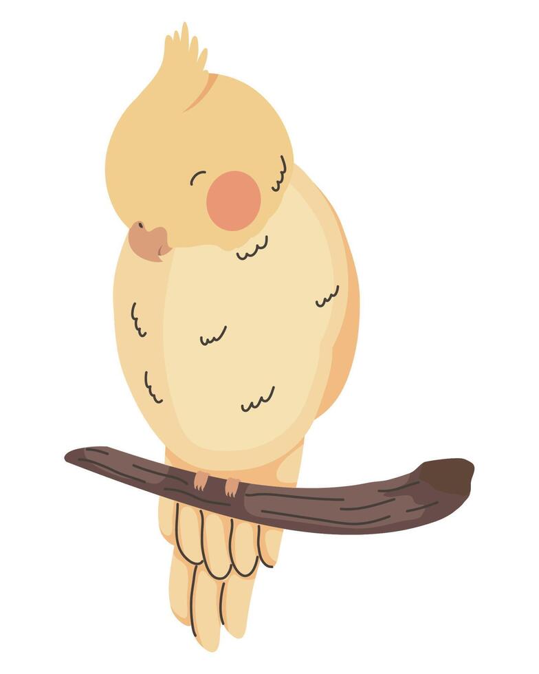 yellow parrot little bird vector