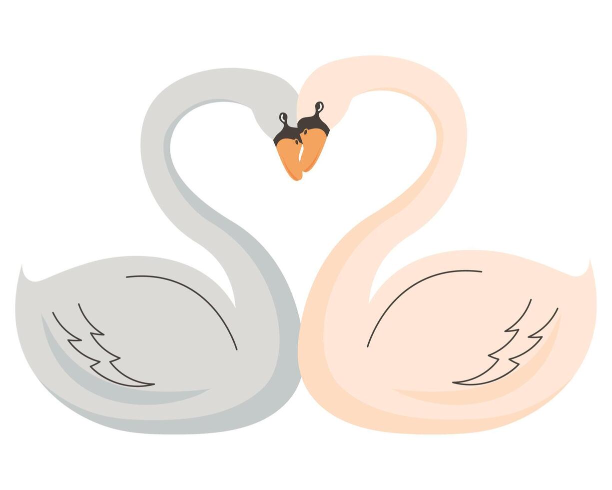 cisnes animales pareja amor vector