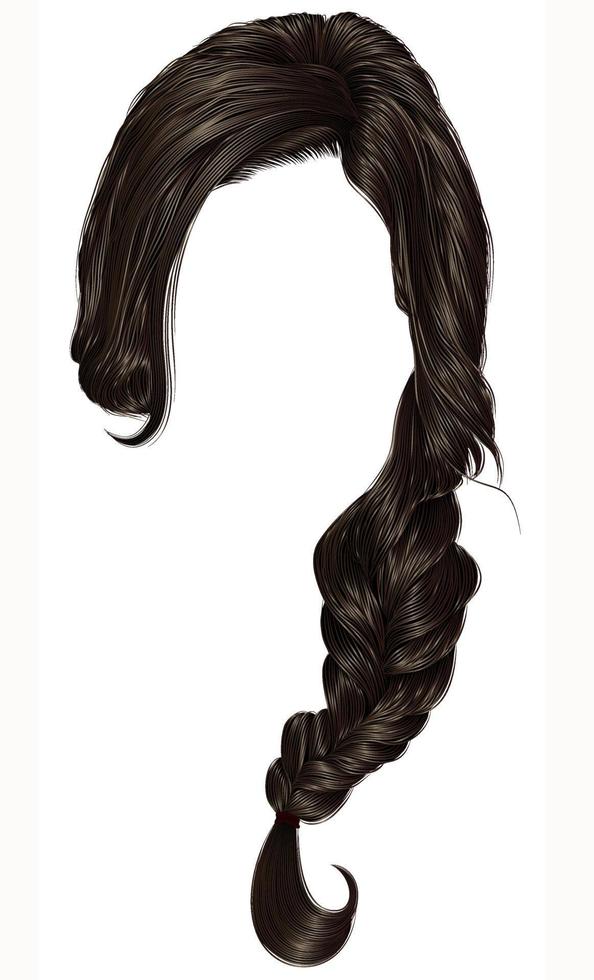 trendy women hairs  pigtail . braid plait .  fashion beauty style . realistic  3d . vector