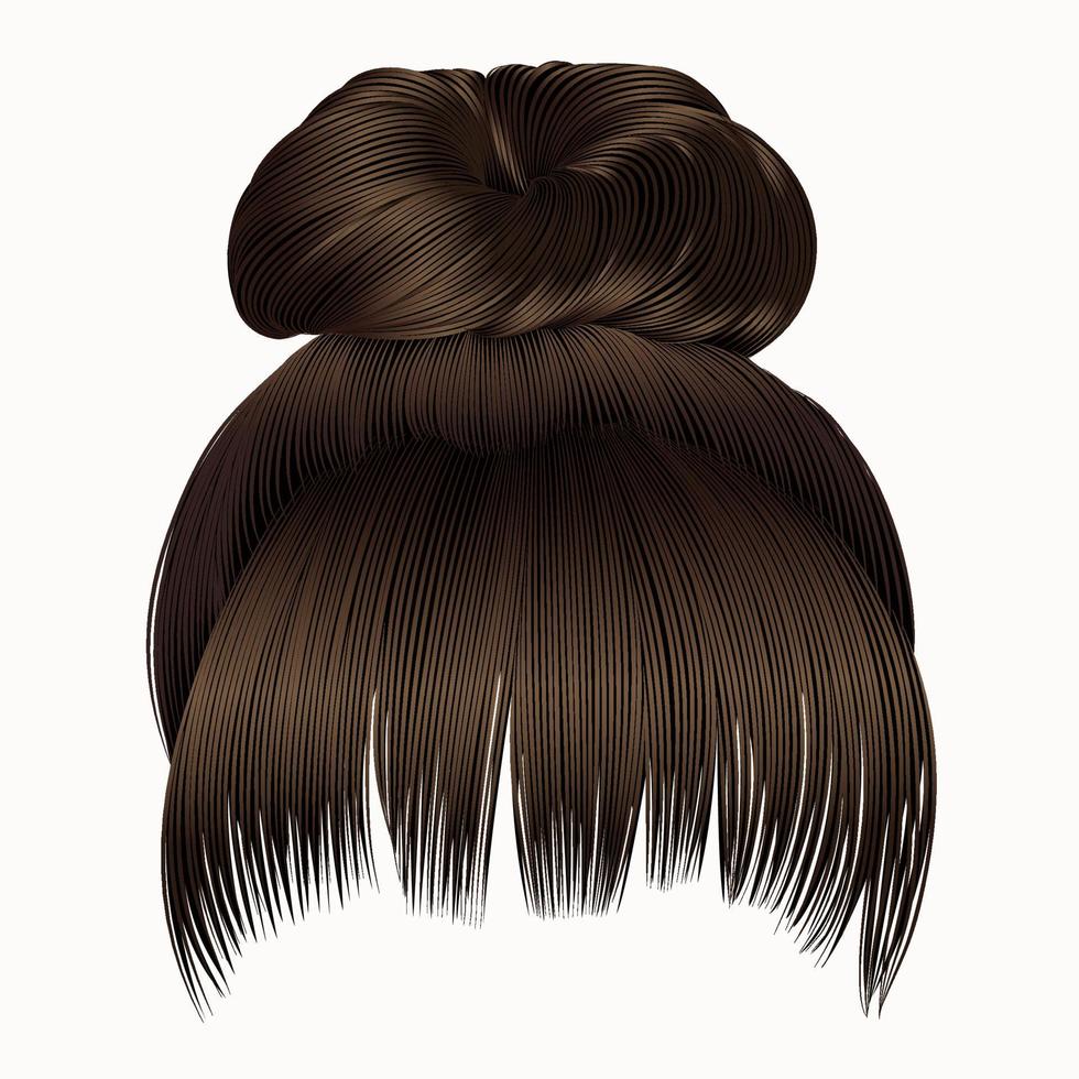 bun  hairs with fringe dark  brown colors . women fashion beauty style . vector