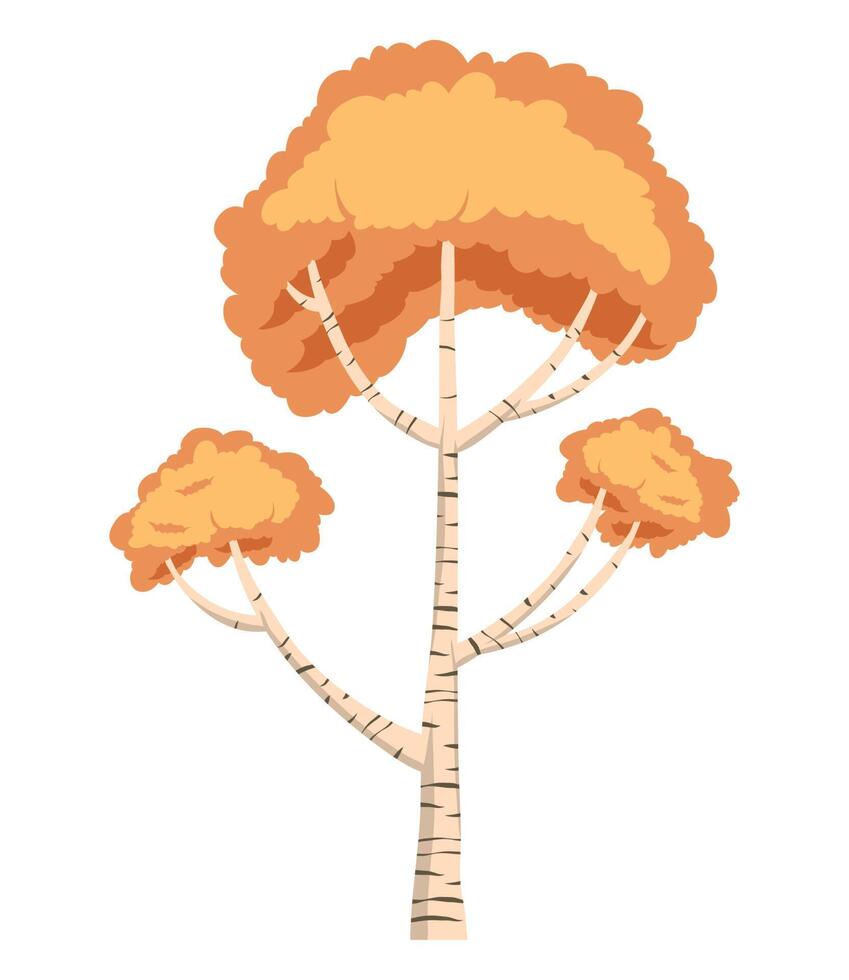 tall autumn tree plant forest vector