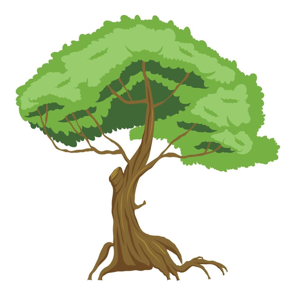 green tree plant forest vector