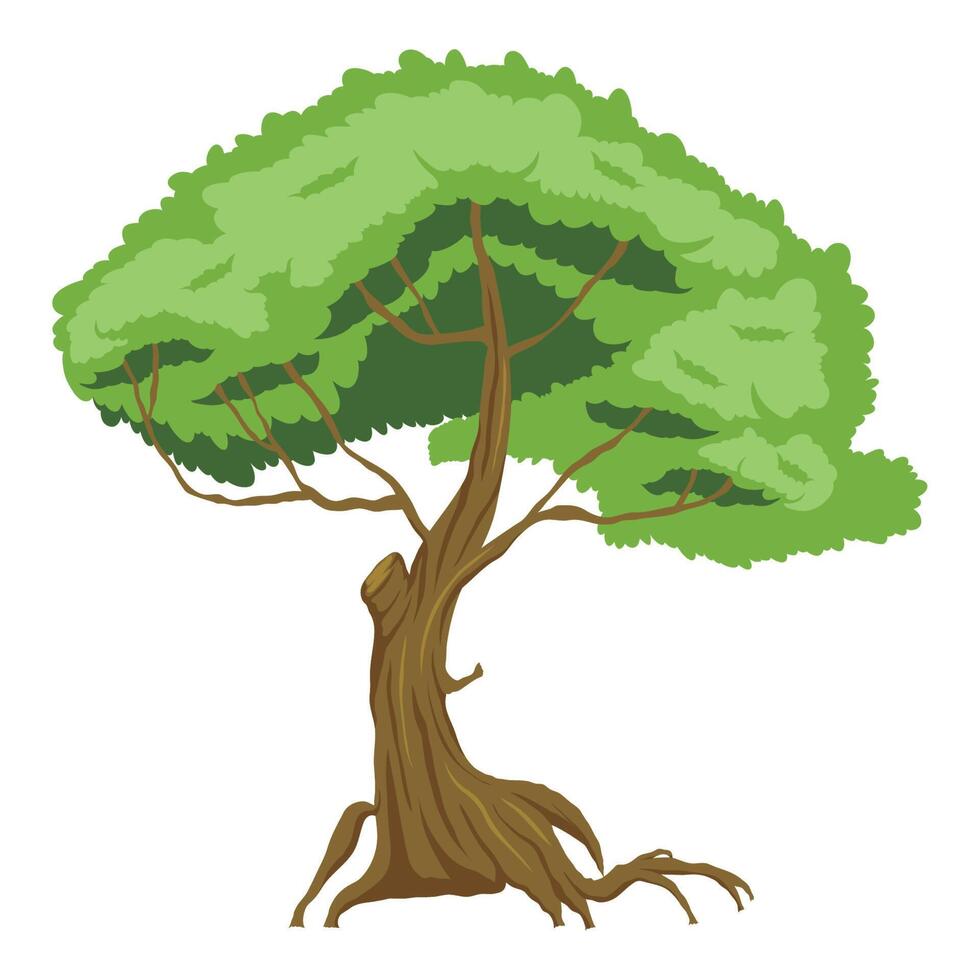 árbol verde planta bosque vector