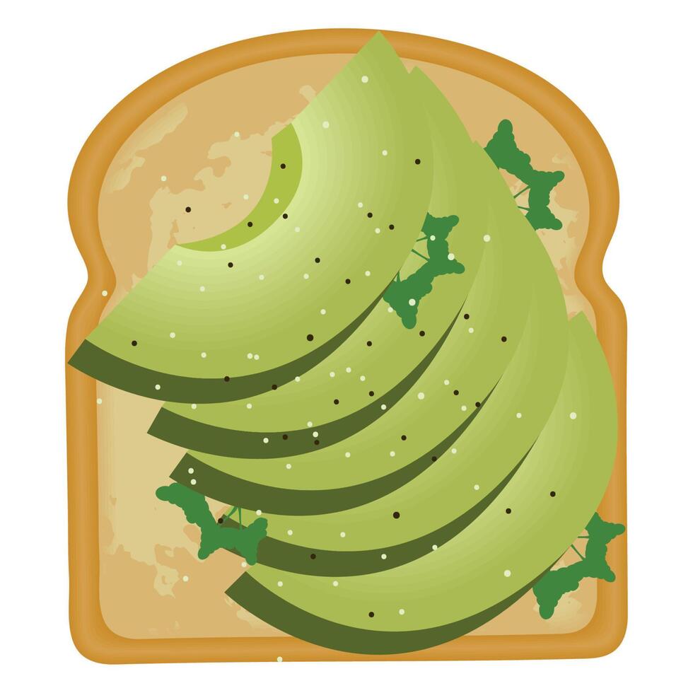 toast bread and avocados vector