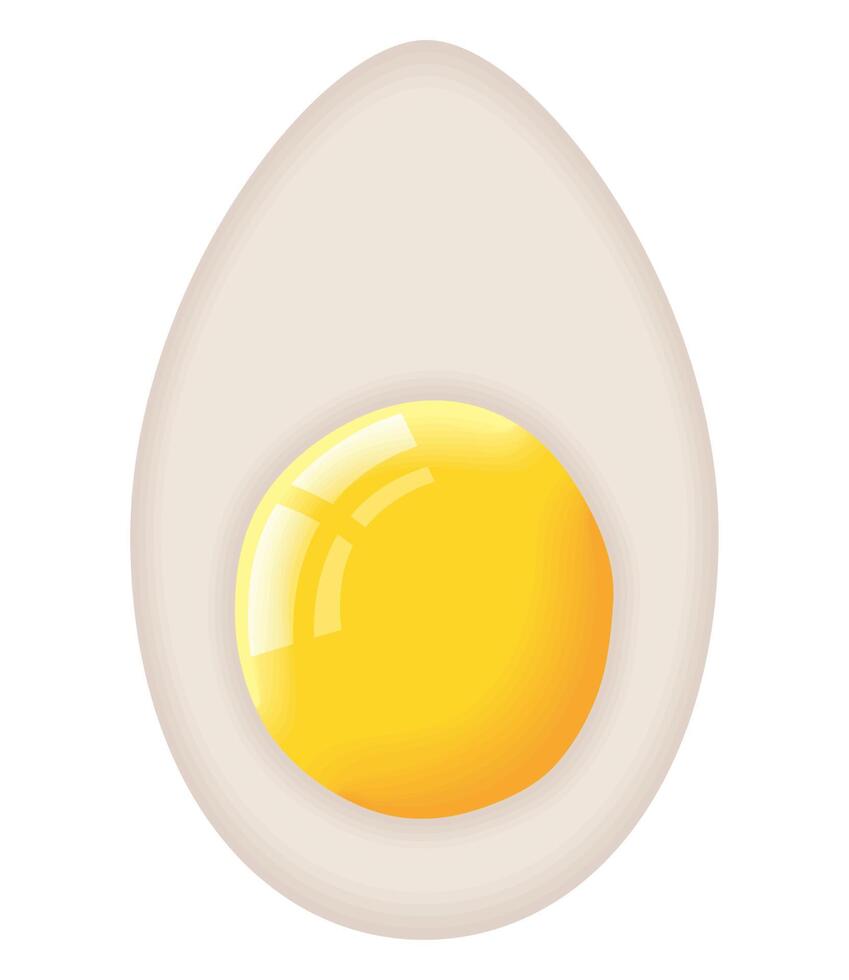 egg boiled breakfast food vector
