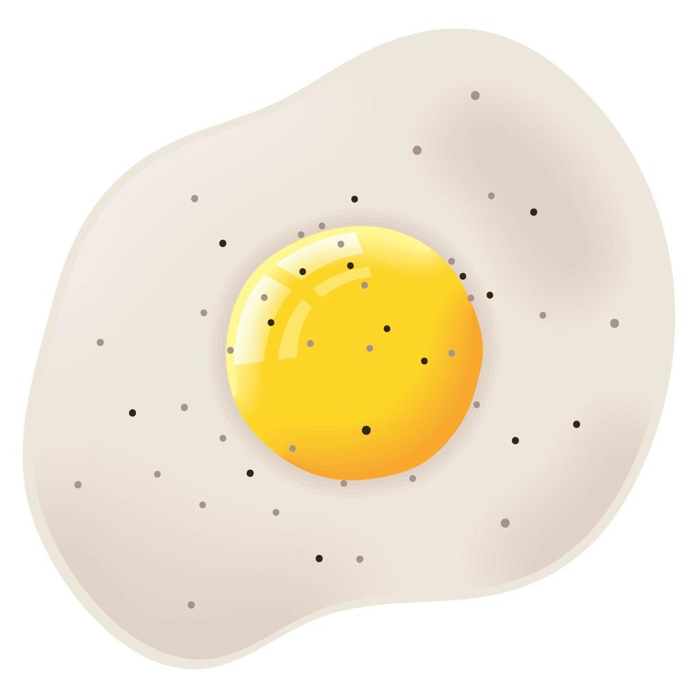 egg fried airview food vector